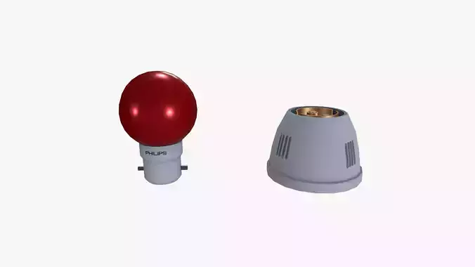 Bulb and Holder