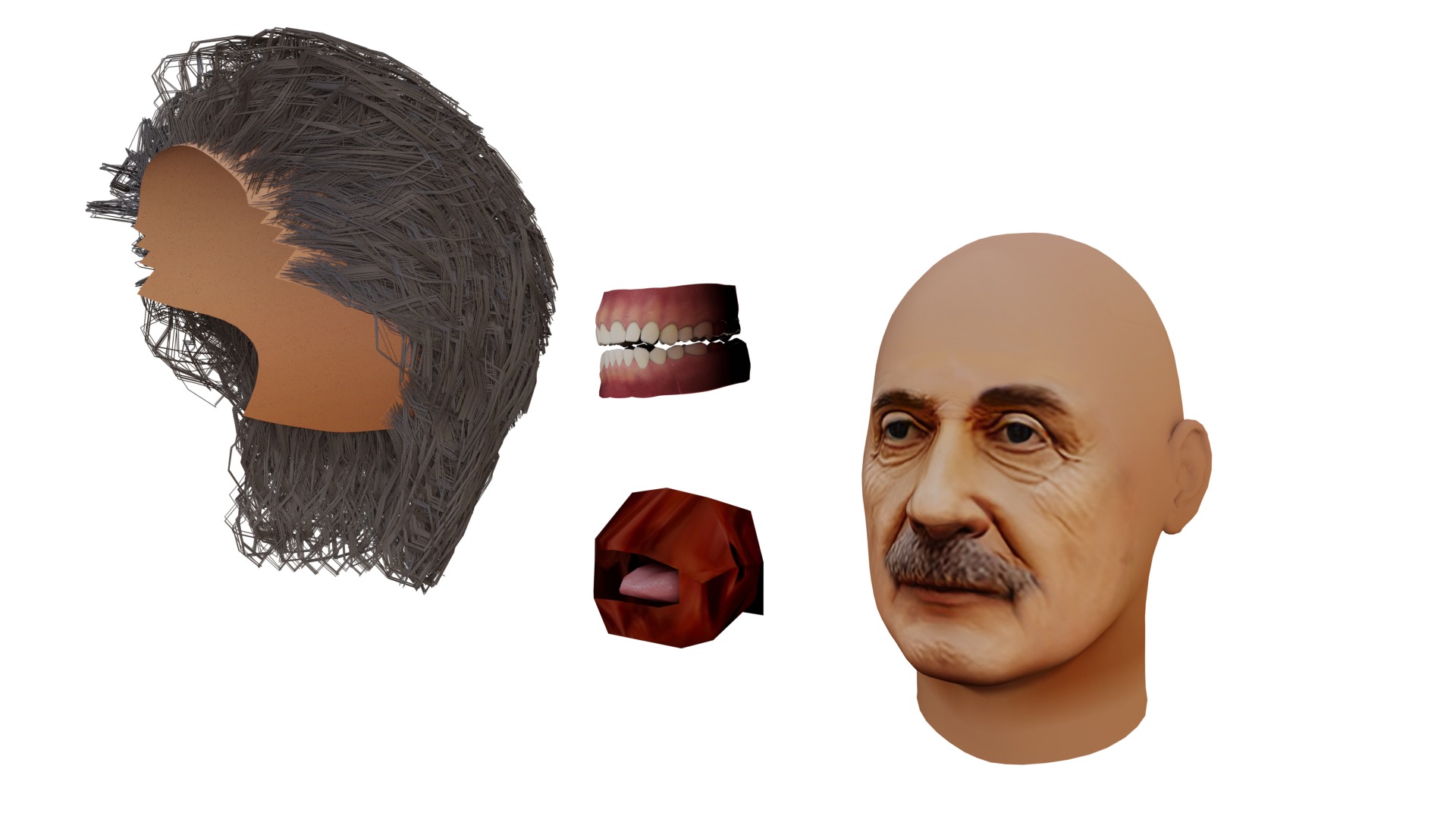Albert Einstein UV Map Head 3D model_11