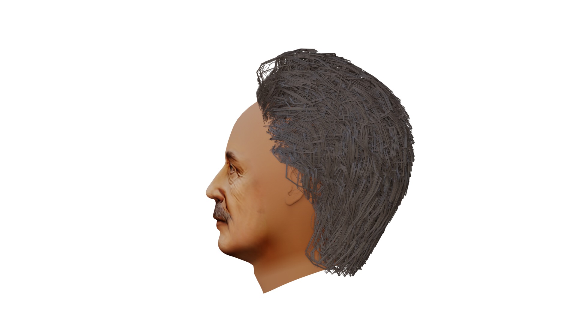 Albert Einstein UV Map Head 3D model_9