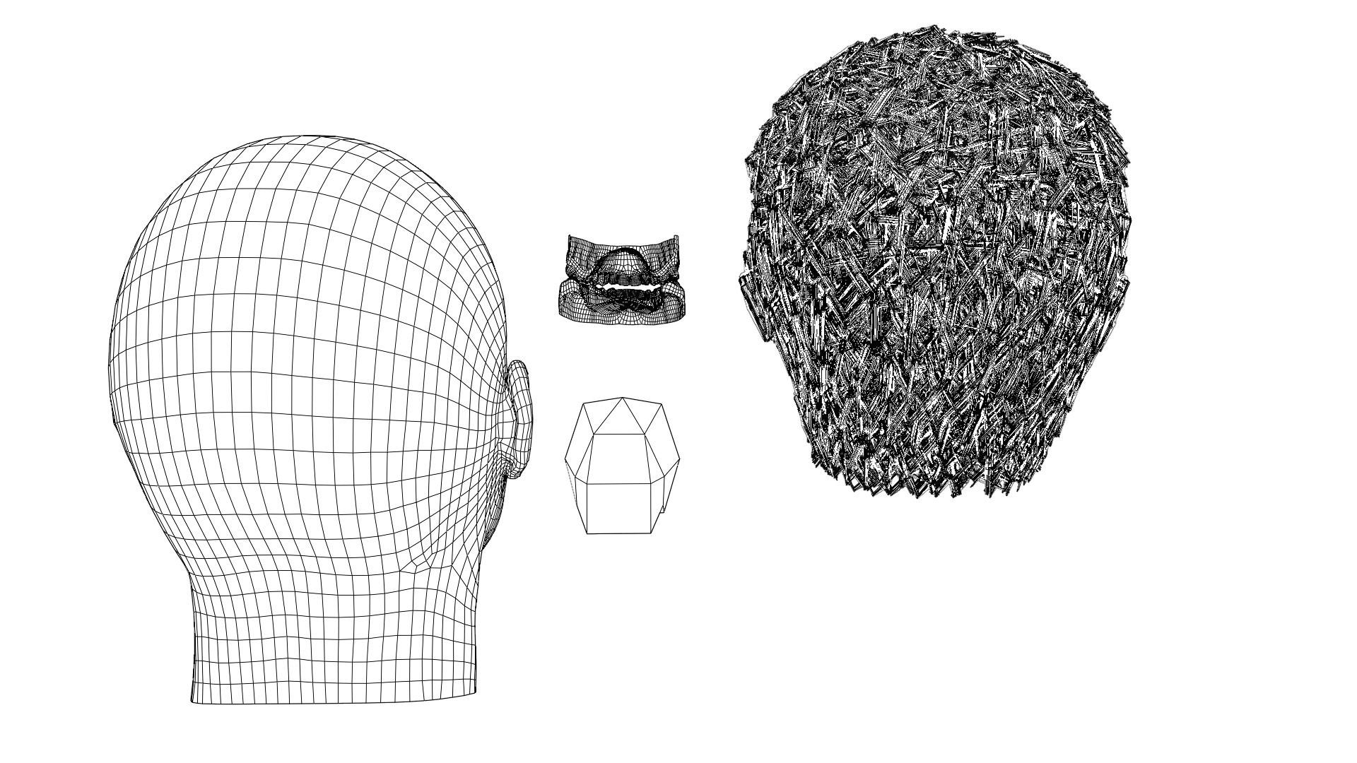 Albert Einstein UV Map Head 3D model_15