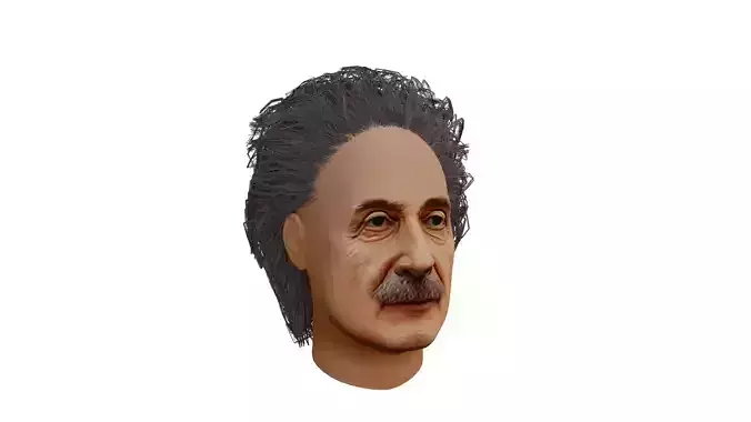 Albert Einstein UV Map Head 3D model Albert Einstein UV Map Head 3D model