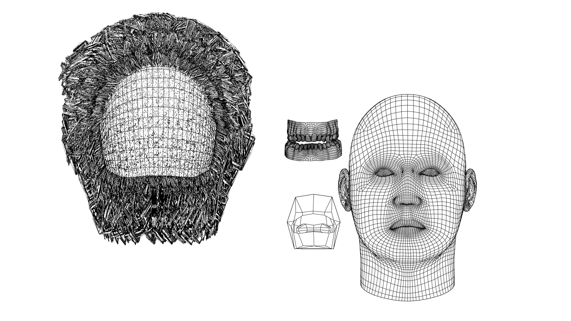 Albert Einstein UV Map Head 3D model_17