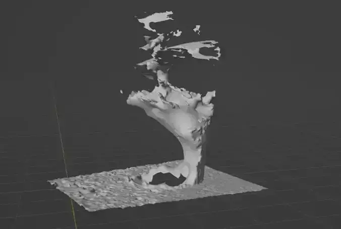 a faild 3d scane of a potted plant