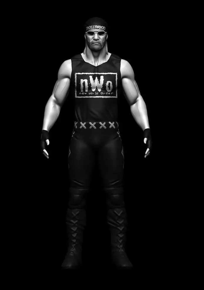 HULK HOGAN HOLLYWOOD 3D print model_0