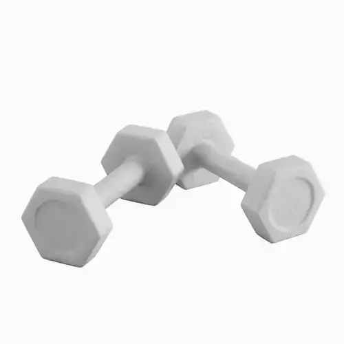 Small Rubber Dumbbell 02 