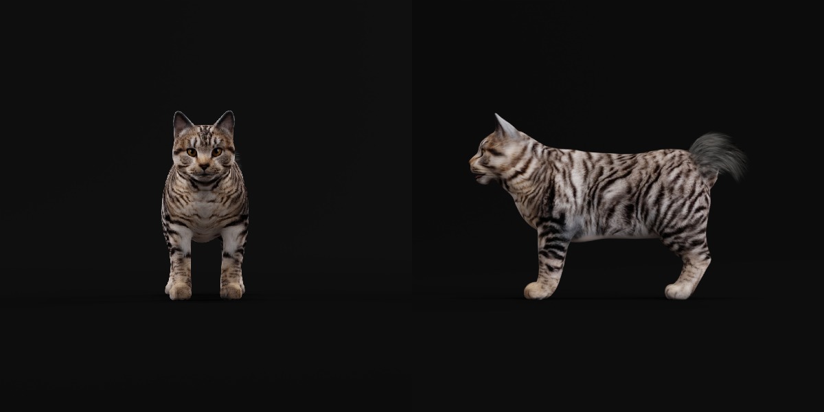 Kurilian Bobtail Cat Low-poly 3D model_4