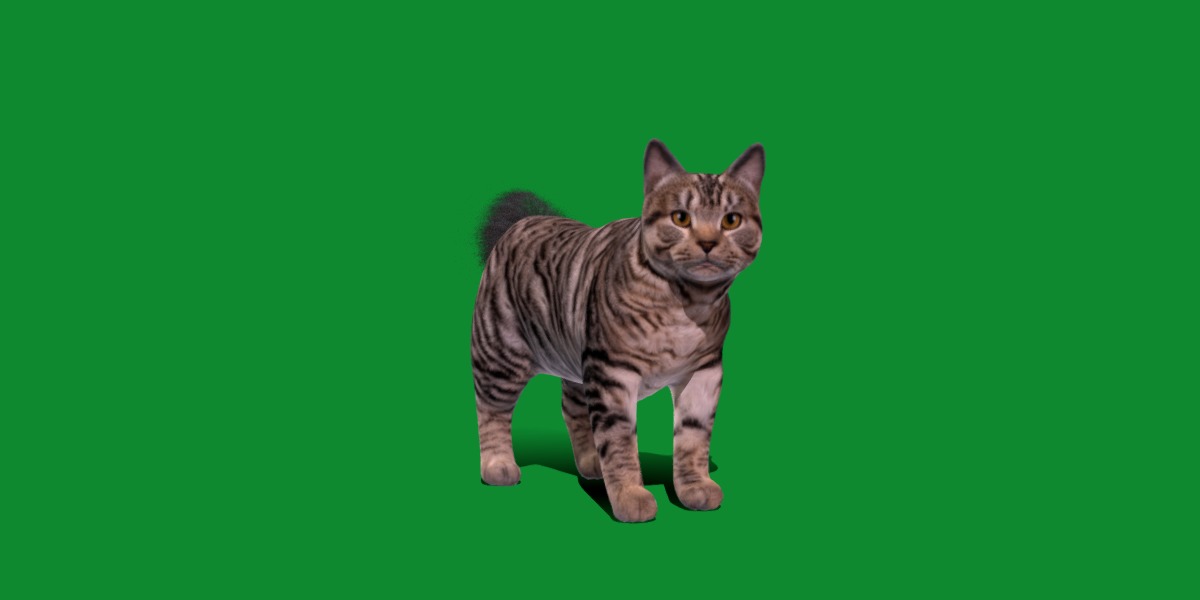 Kurilian Bobtail Cat Low-poly 3D model_26