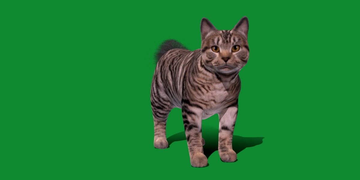 Kurilian Bobtail Cat Low-poly 3D model_16