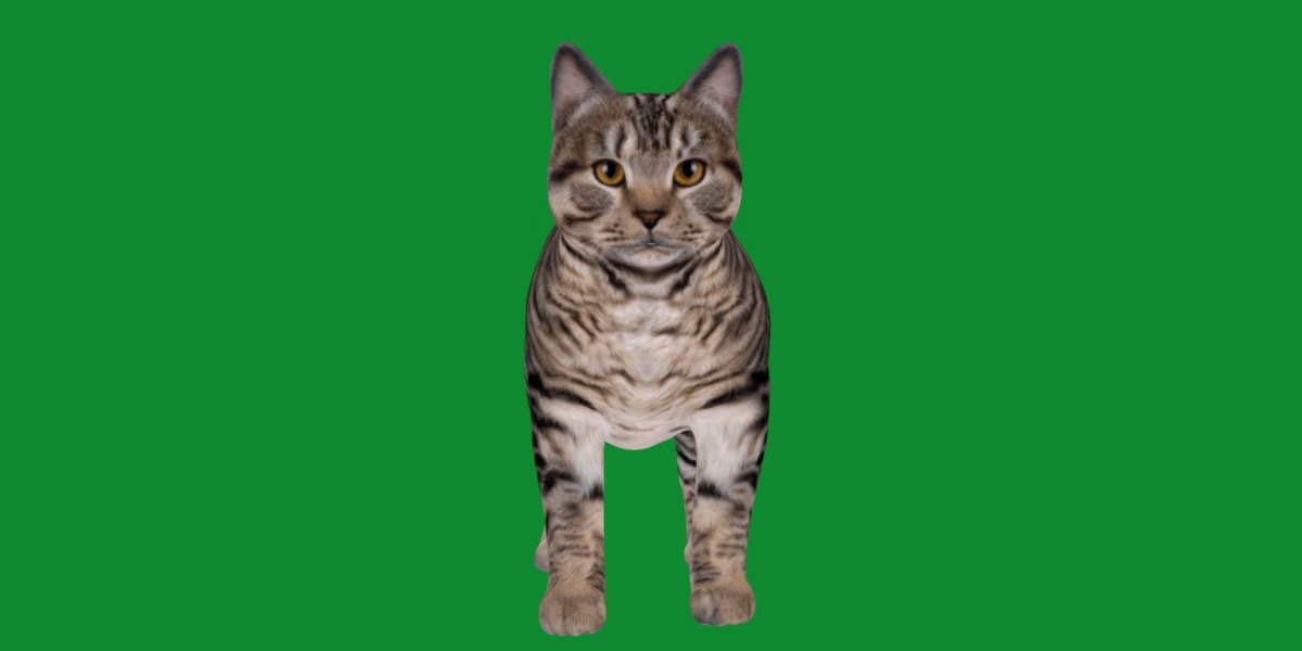Kurilian Bobtail Cat Low-poly 3D model_23
