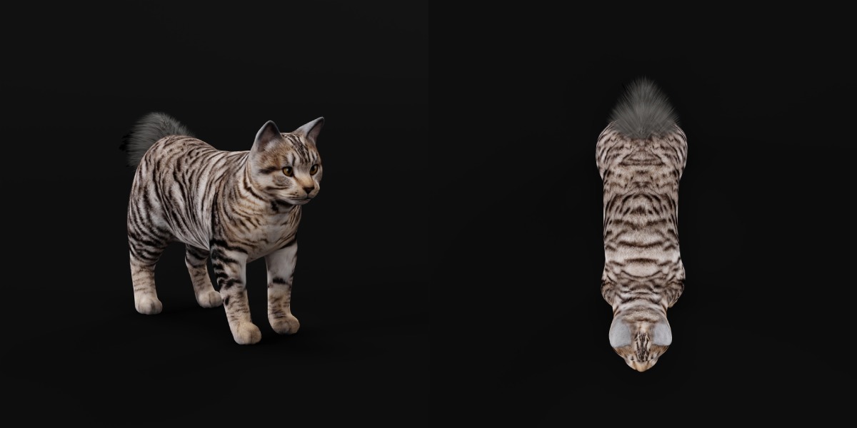 Kurilian Bobtail Cat Low-poly 3D model_5