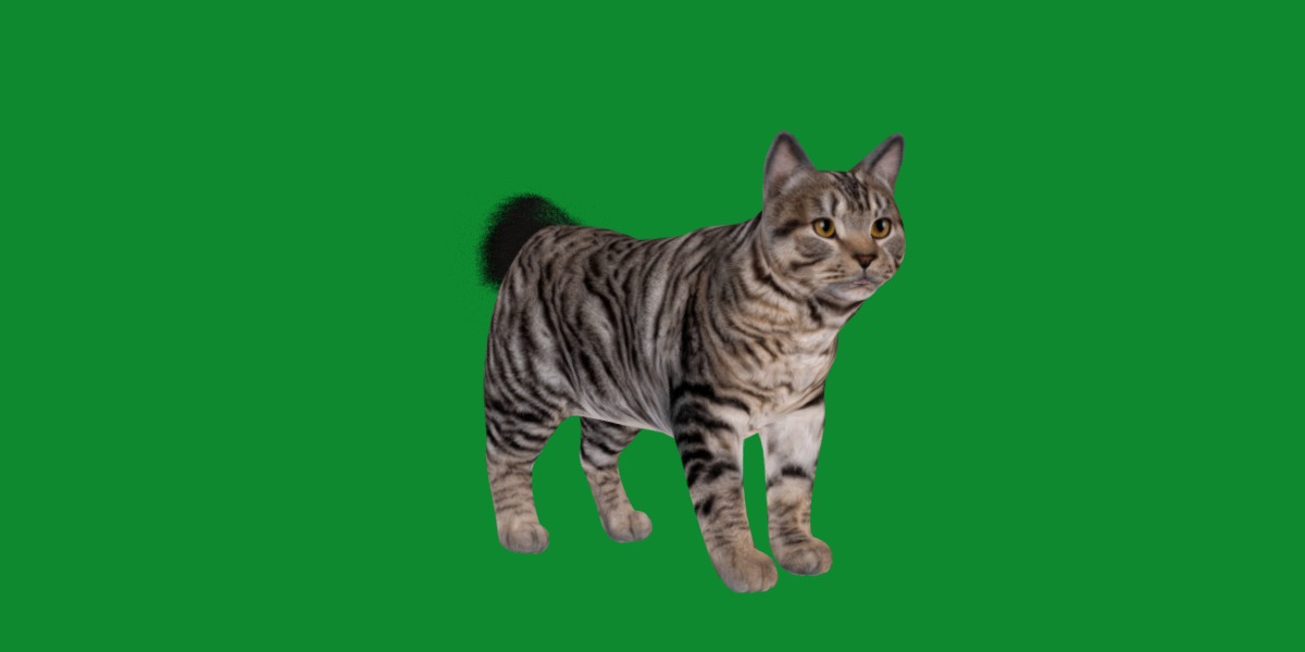 Kurilian Bobtail Cat Low-poly 3D model_21