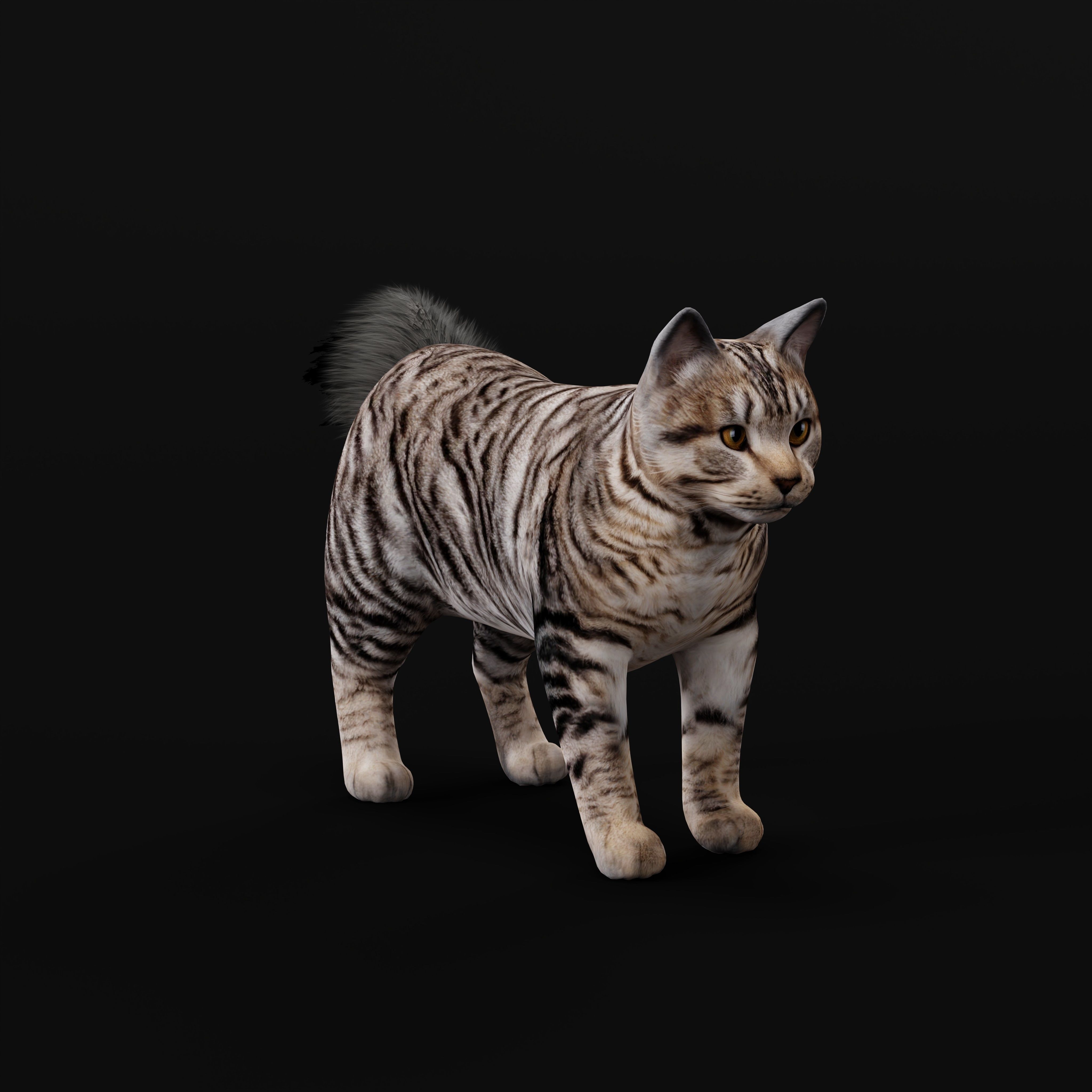 Kurilian Bobtail Cat Low-poly 3D model_34