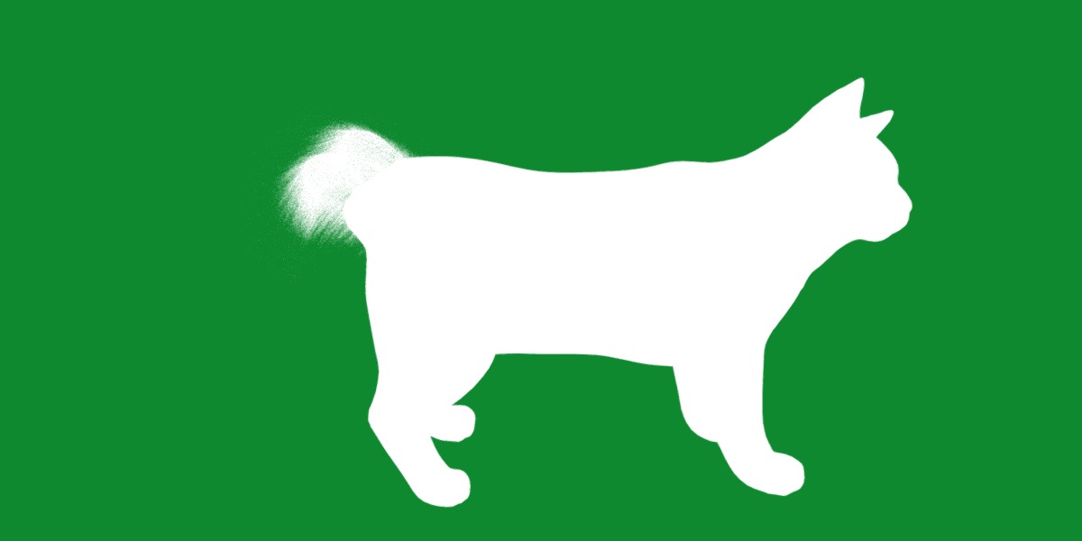 Kurilian Bobtail Cat Low-poly 3D model_25