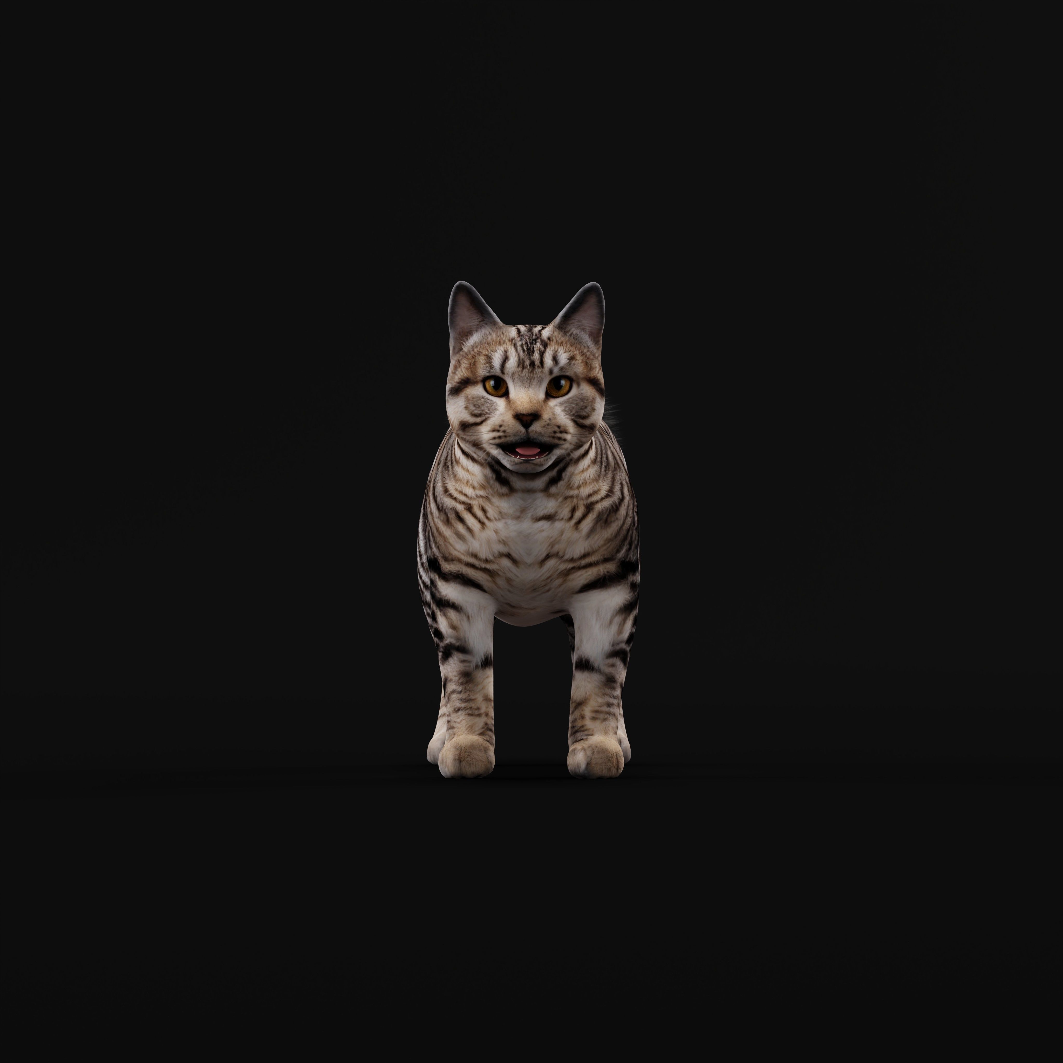 Kurilian Bobtail Cat Low-poly 3D model_30