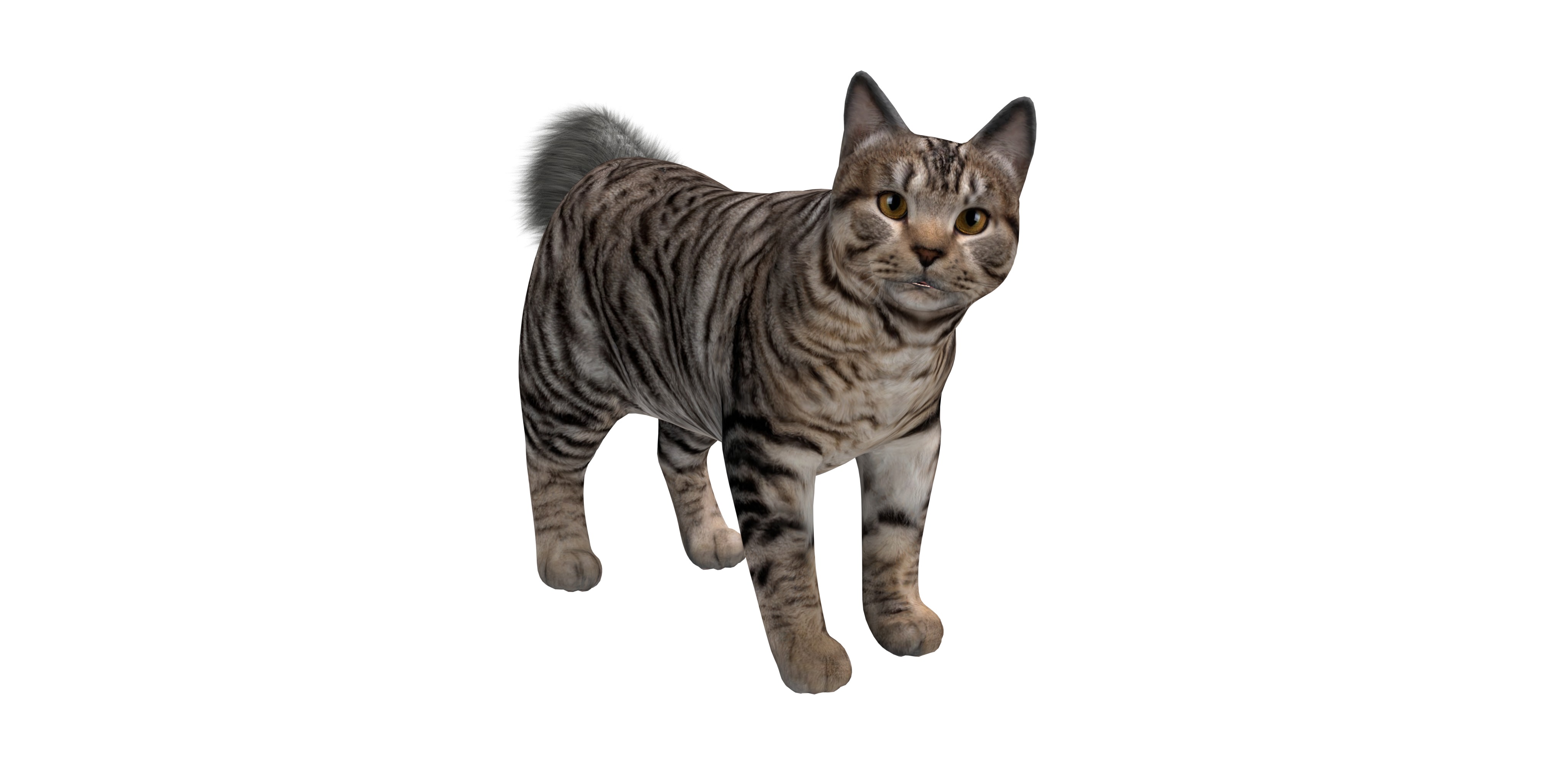 Kurilian Bobtail Cat Low-poly 3D model_3
