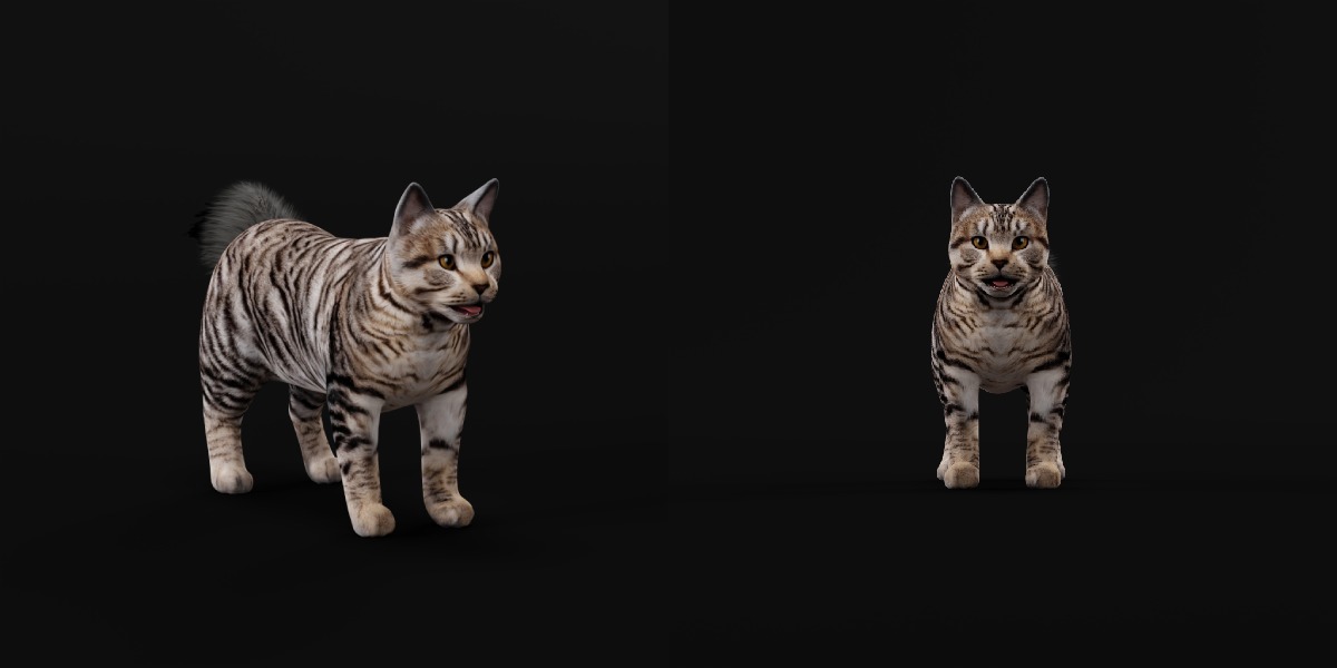 Kurilian Bobtail Cat Low-poly 3D model_6
