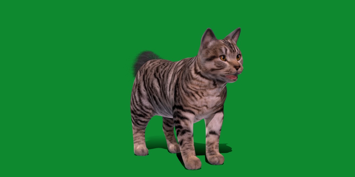 Kurilian Bobtail Cat Low-poly 3D model_17