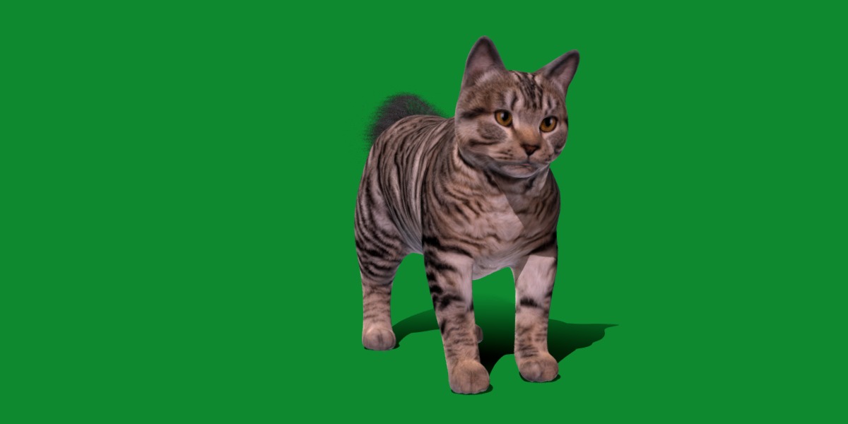 Kurilian Bobtail Cat Low-poly 3D model_15