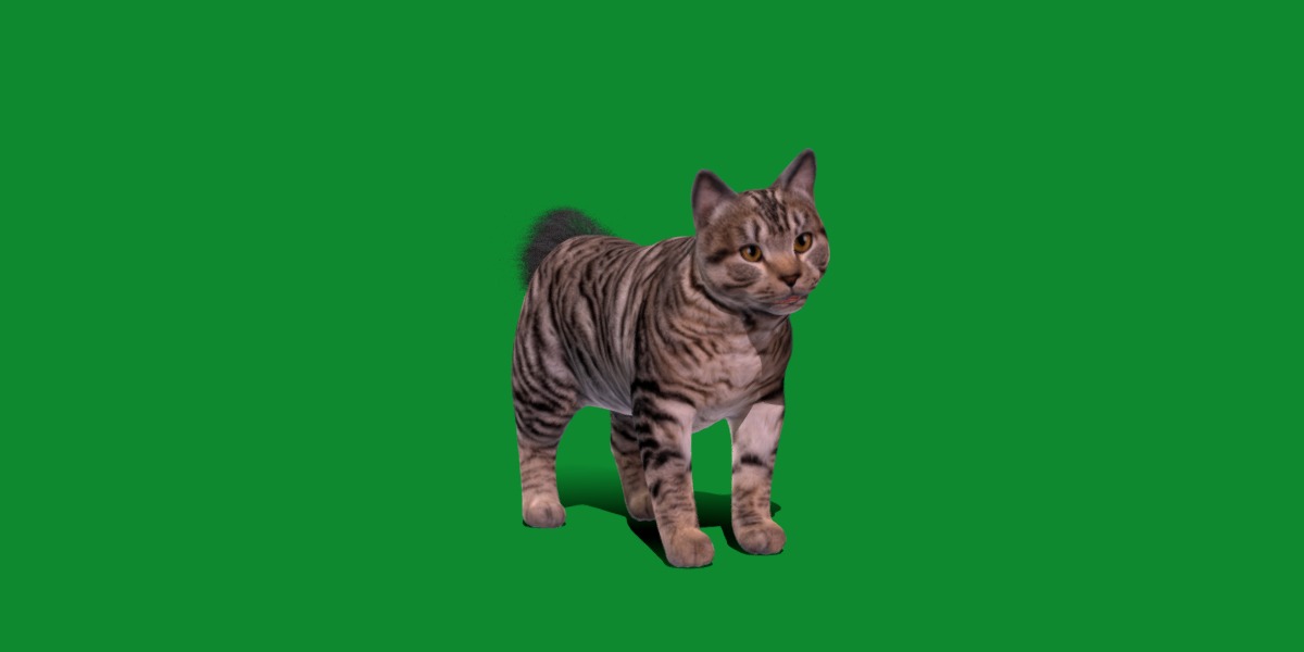 Kurilian Bobtail Cat Low-poly 3D model_2