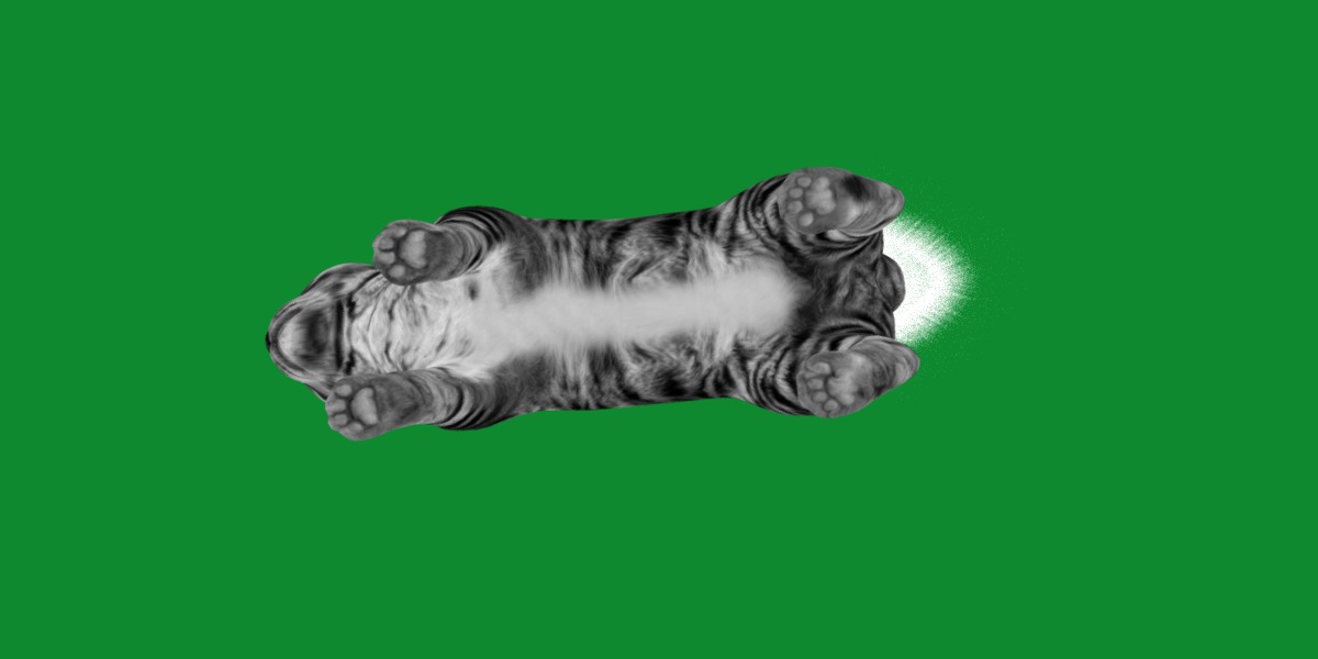 Kurilian Bobtail Cat Low-poly 3D model_12