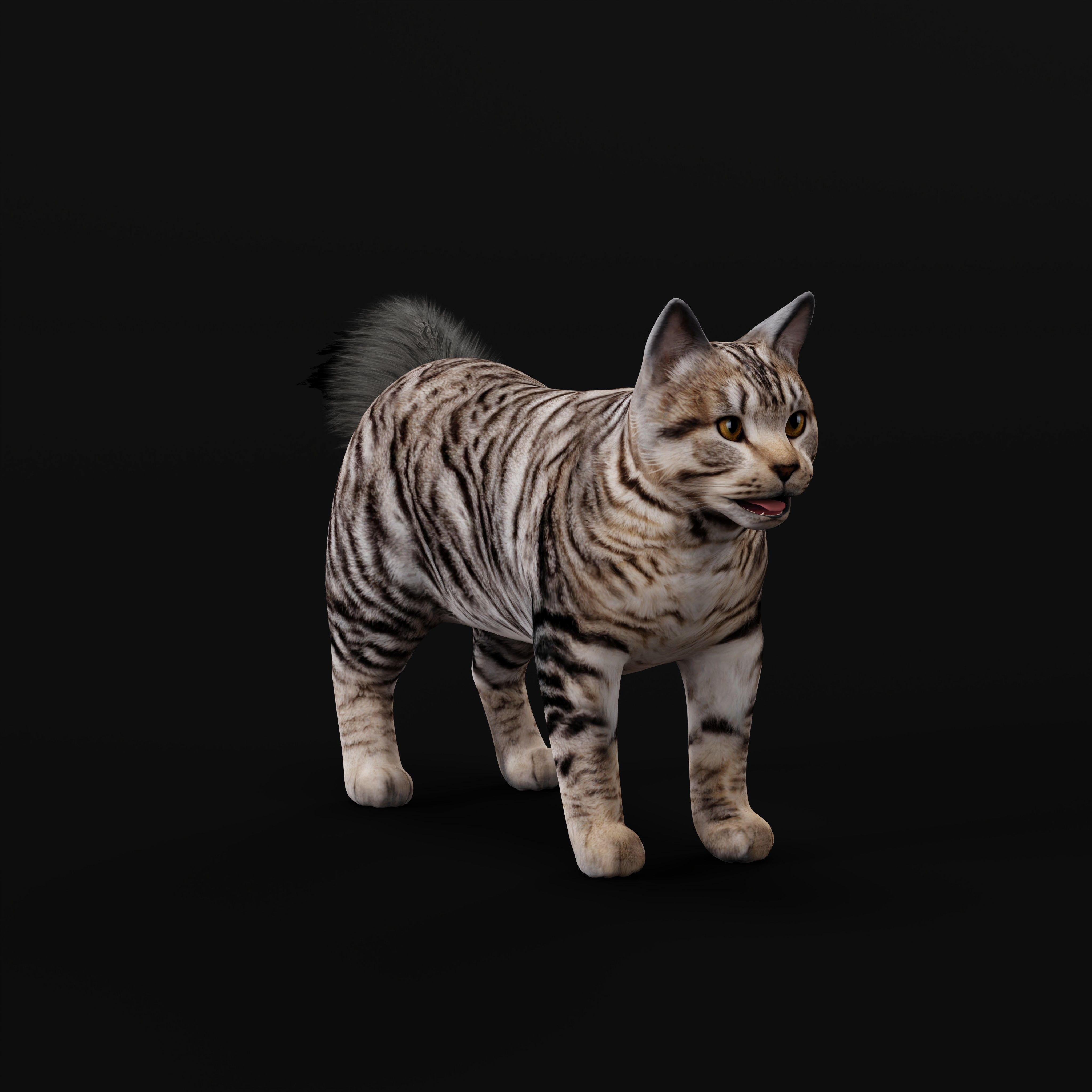 Kurilian Bobtail Cat Low-poly 3D model_29