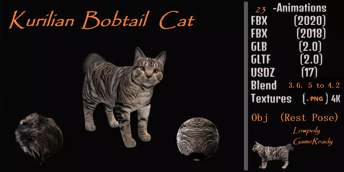Kurilian Bobtail Cat Low-poly 3D model_0