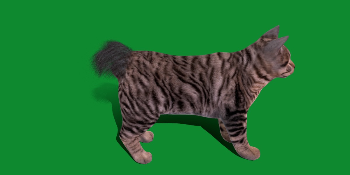 Kurilian Bobtail Cat Low-poly 3D model_24