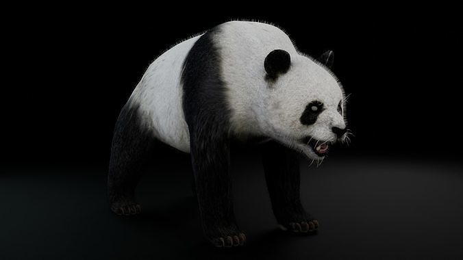 Real panda Low-poly 3D model