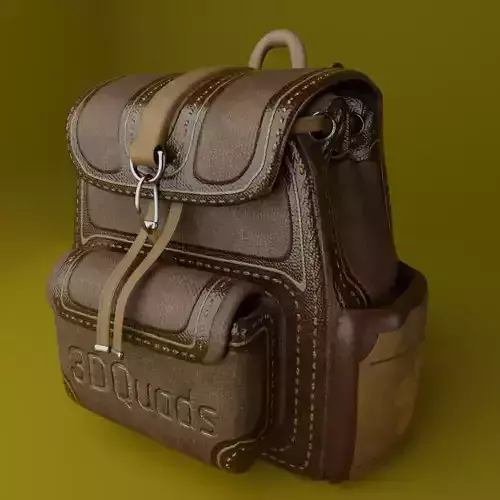 Leather Back Bag