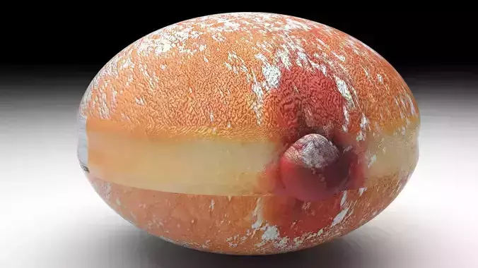 Berlin Donuts 3D model