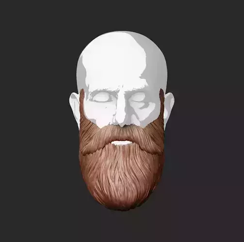 Beard and mustache 3D print model