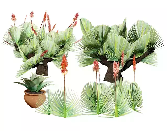 Fan and Coral Aloe Pack Low-poly 3D model