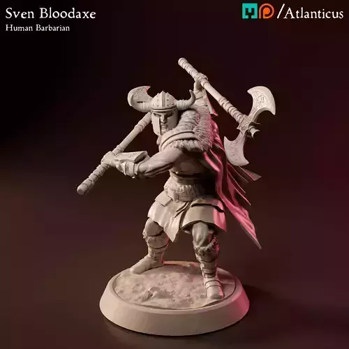 Male Human Barbarian - Sven Bloodaxe - Dual Wielding