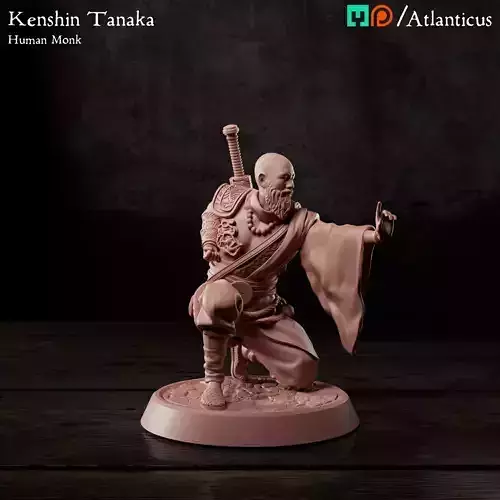 Male Human Monk - Kenshin Tanaka - Unarmed Kneeling Free 3D print model