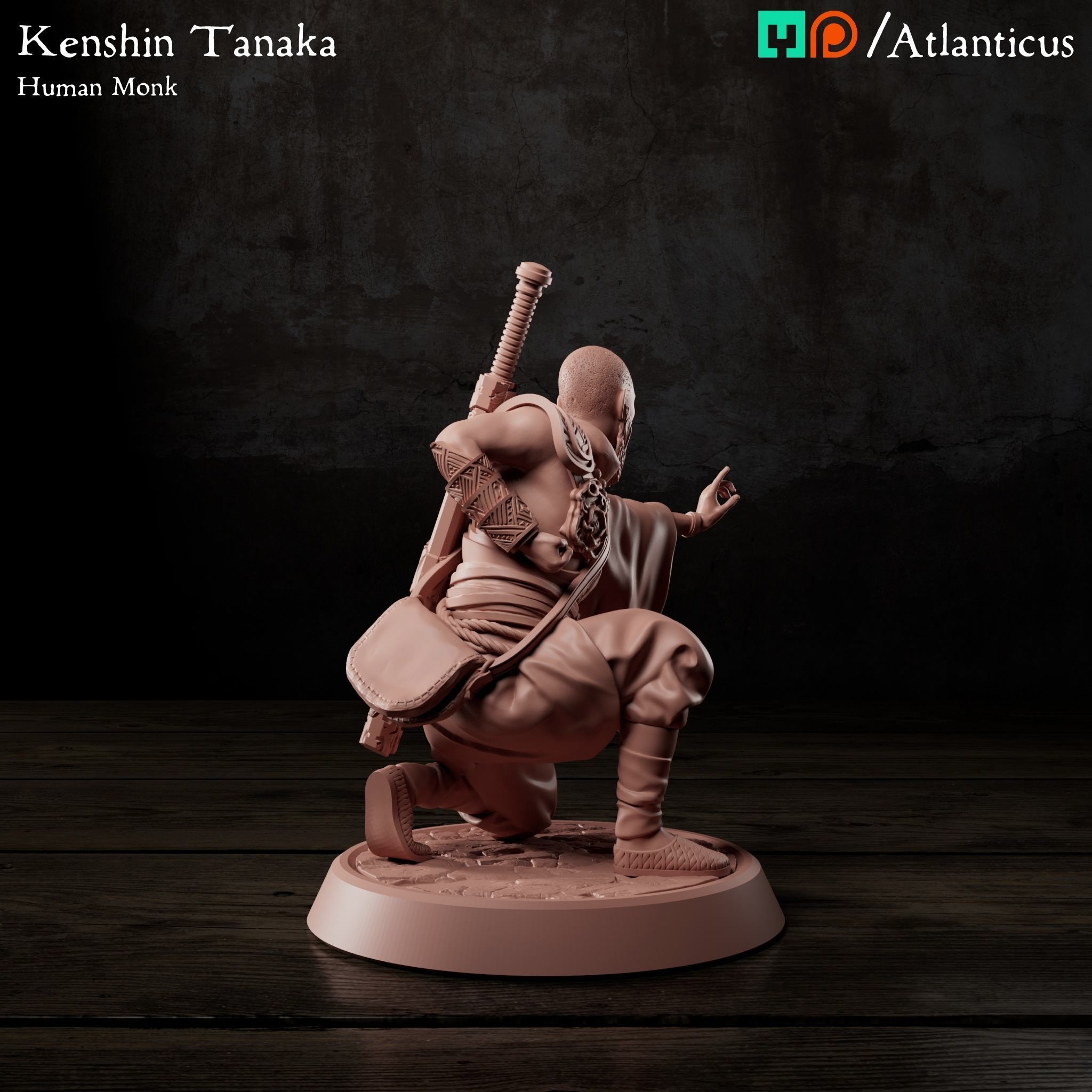 Male Human Monk - Kenshin Tanaka - Unarmed Kneeling Free 3D print model_2