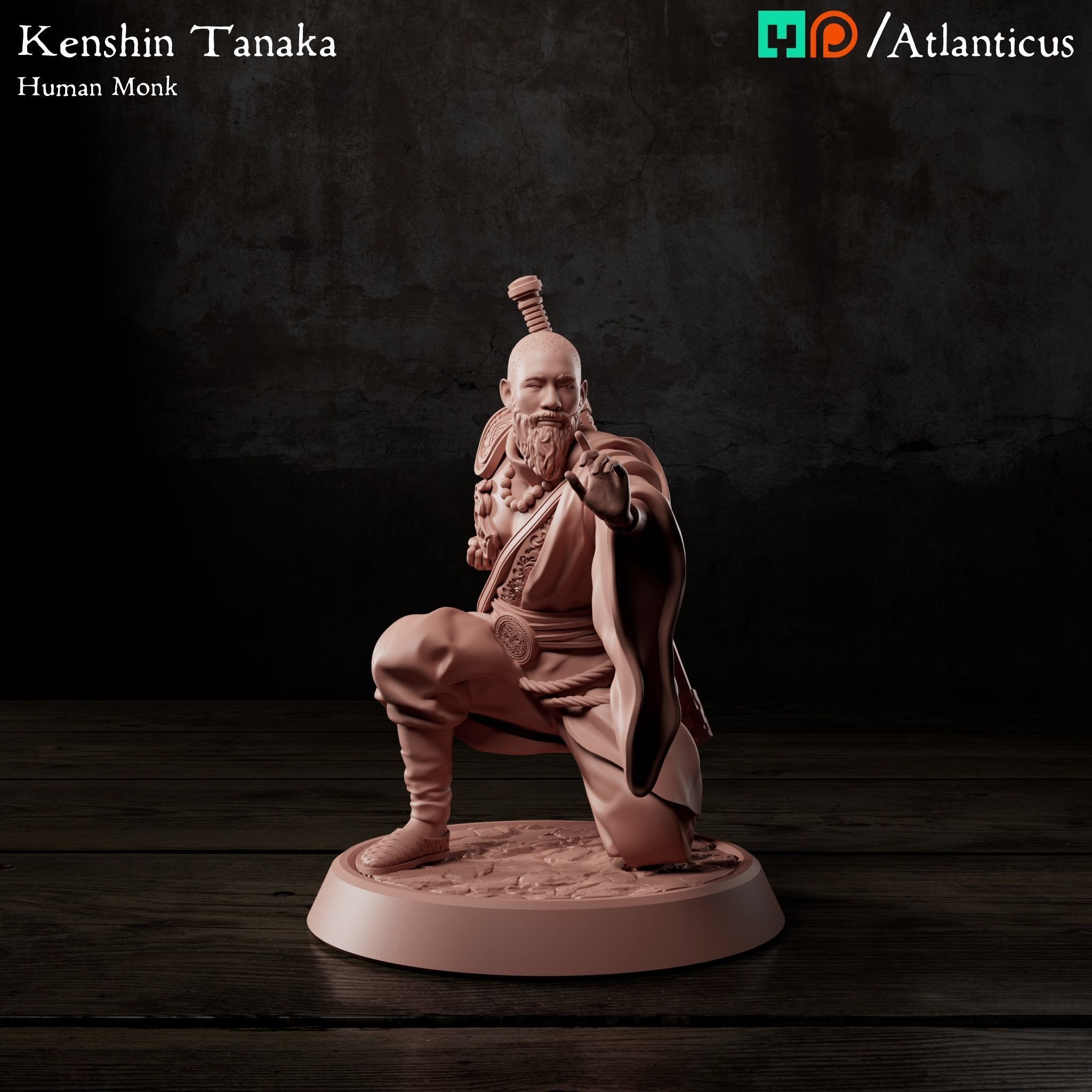 Male Human Monk - Kenshin Tanaka - Unarmed Kneeling Free 3D print model_7