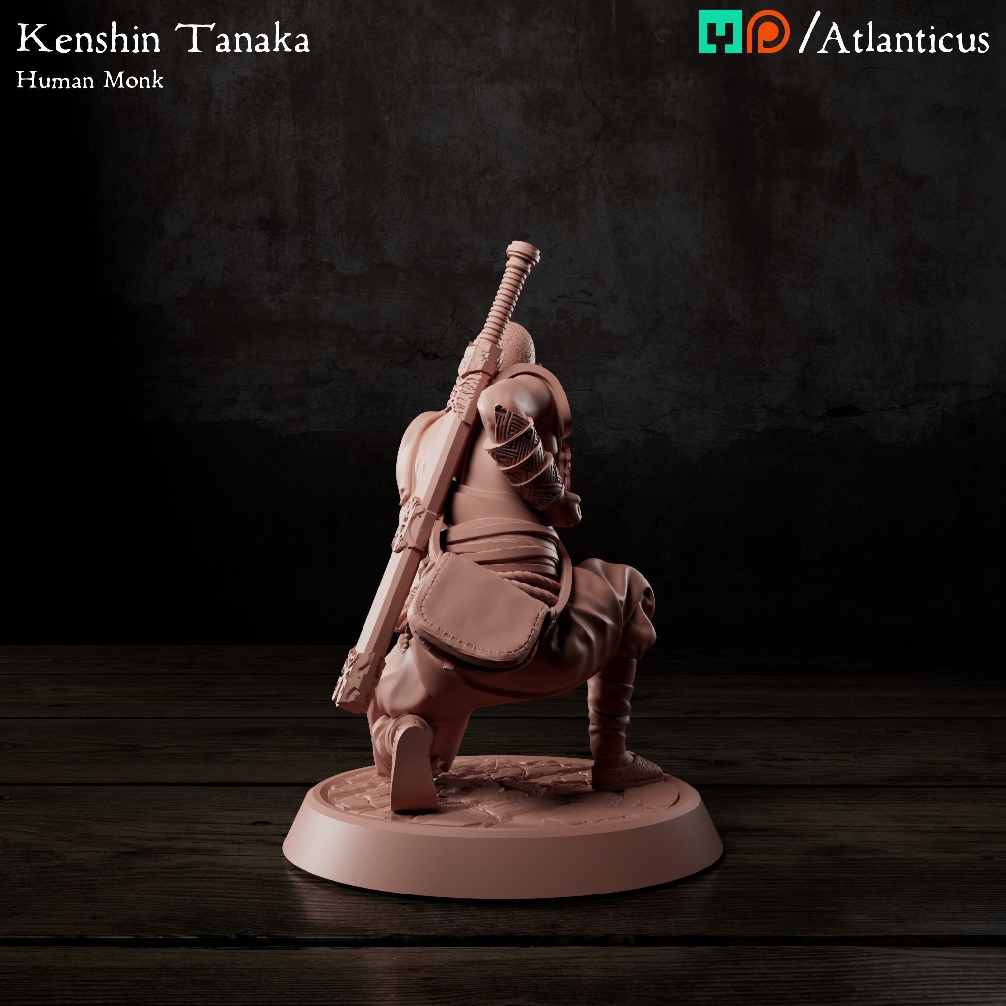 Male Human Monk - Kenshin Tanaka - Unarmed Kneeling Free 3D print model_3