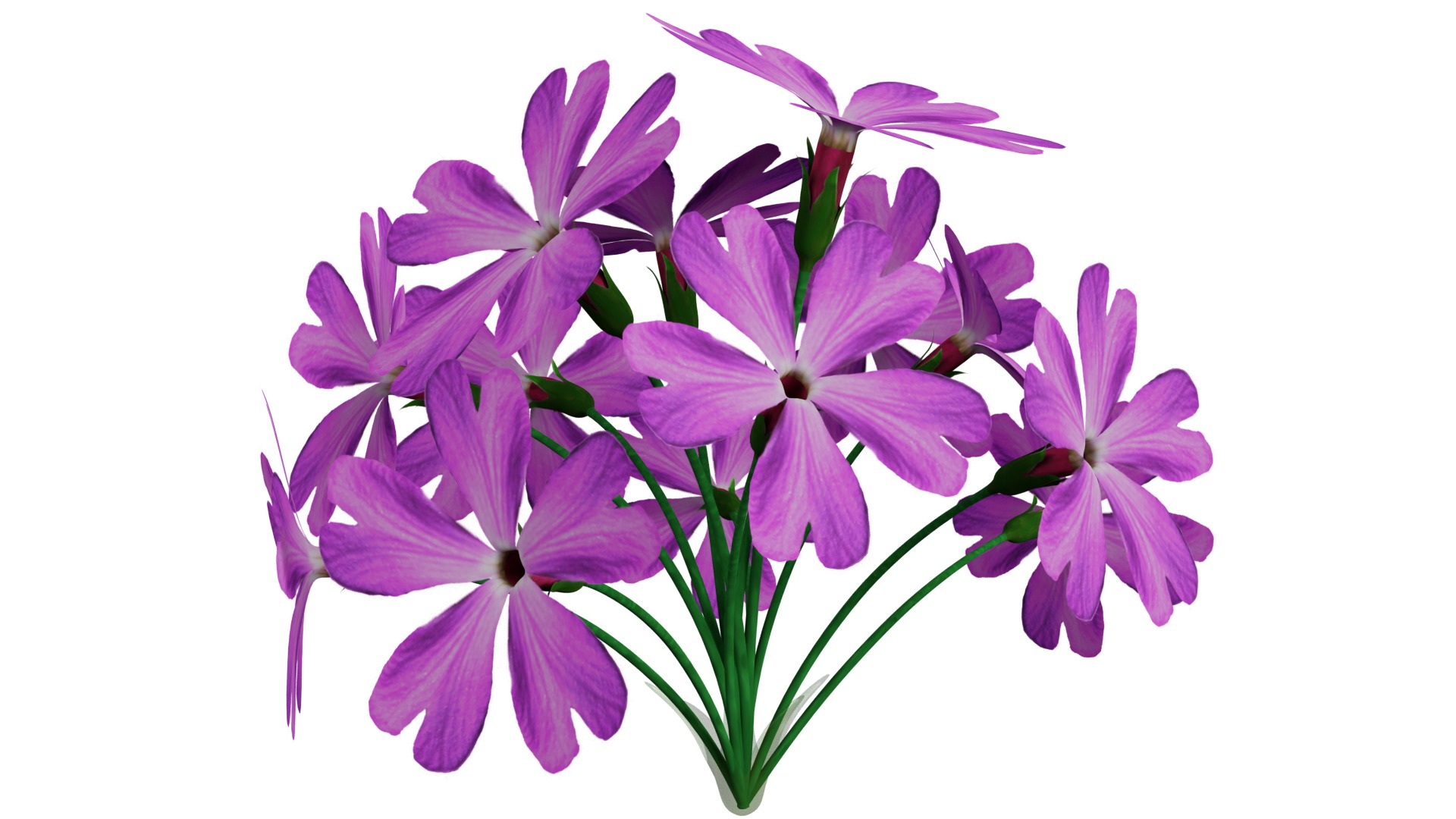 Violet Flower 3D model_4