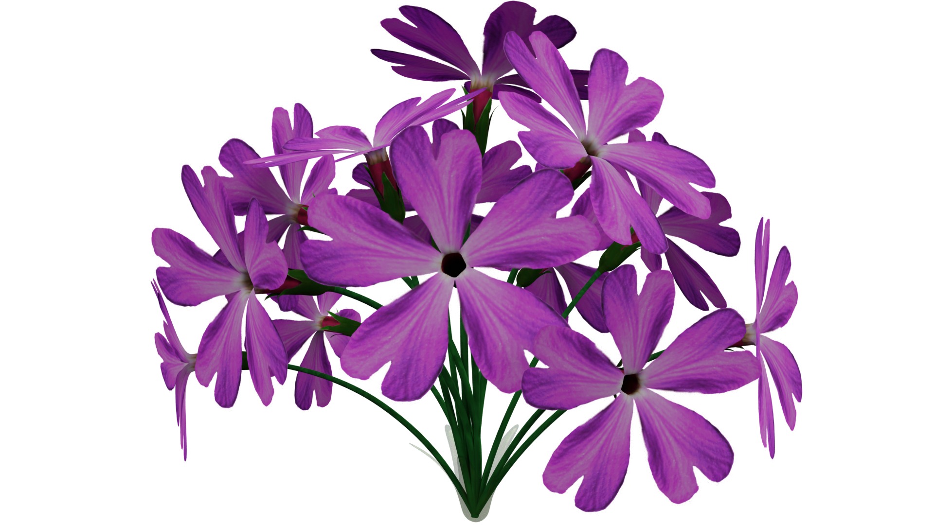 Violet Flower 3D model_2