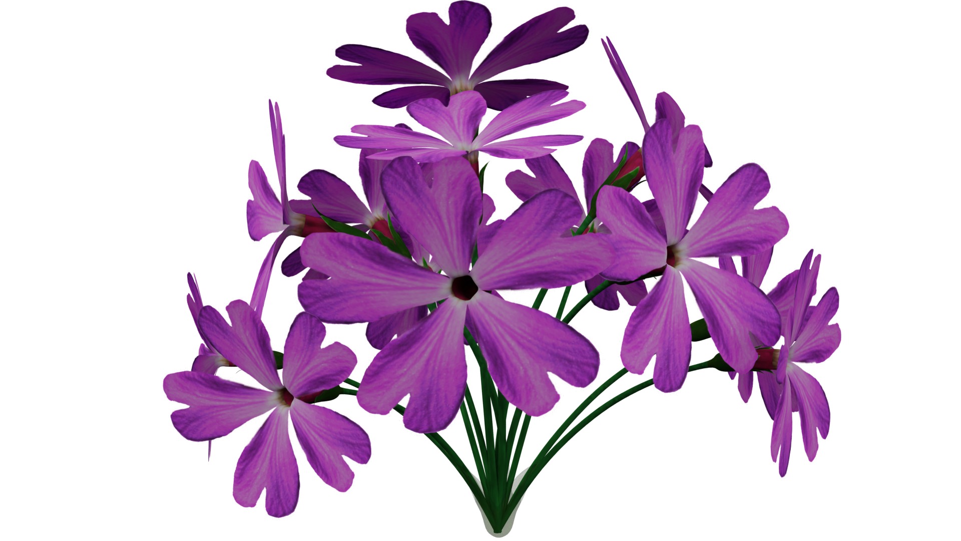 Violet Flower 3D model_1