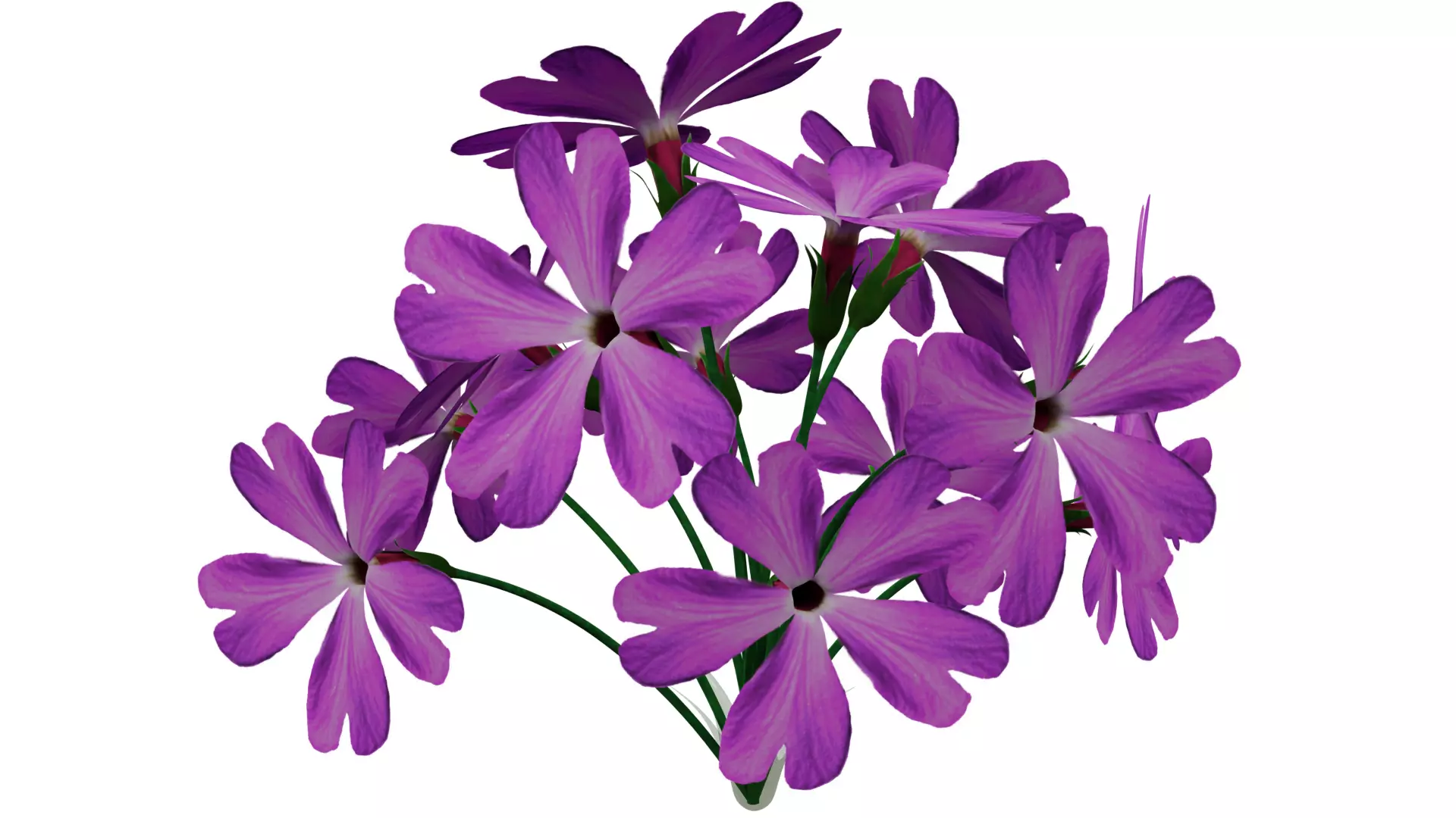 Violet Flower 3D model_0