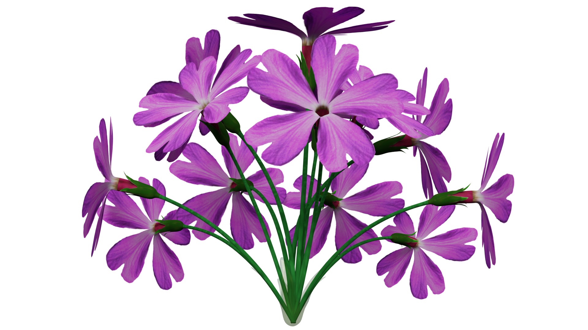 Violet Flower 3D model_5