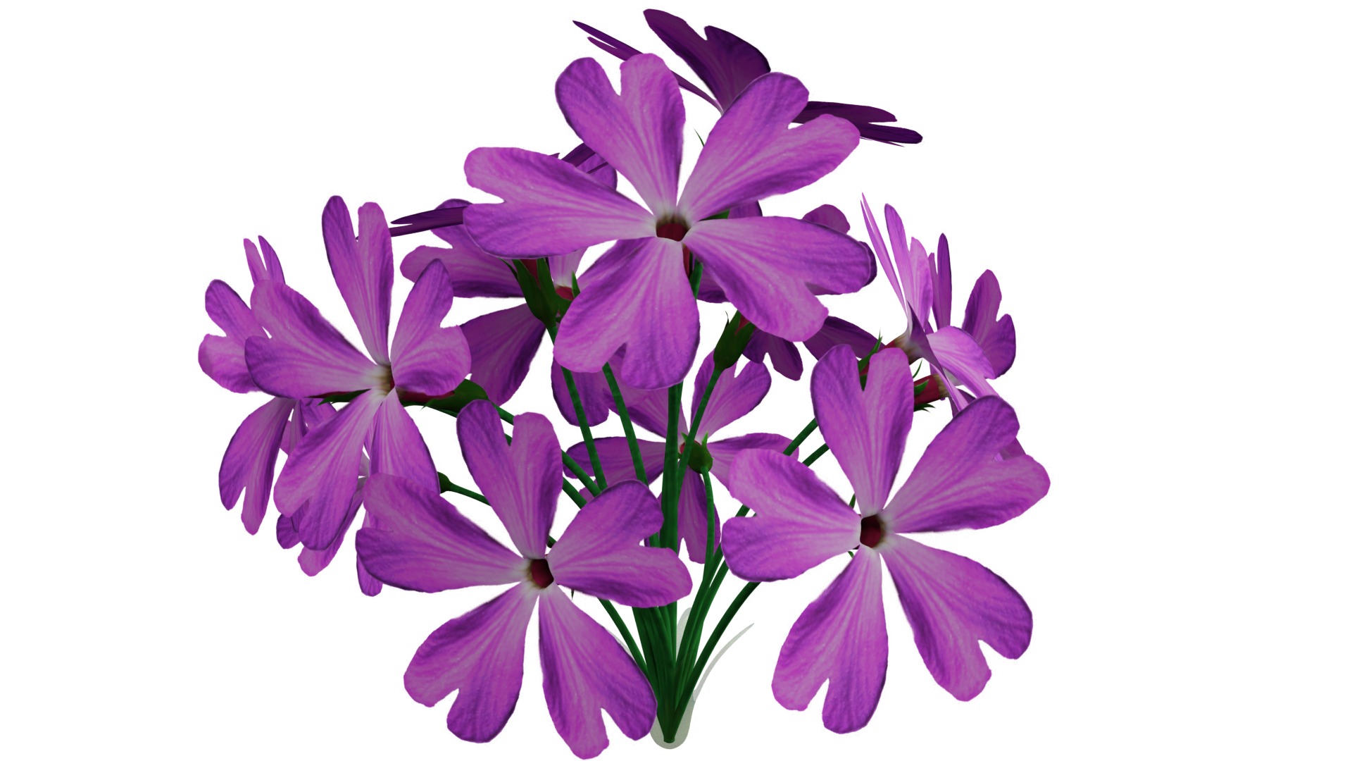 Violet Flower 3D model_3