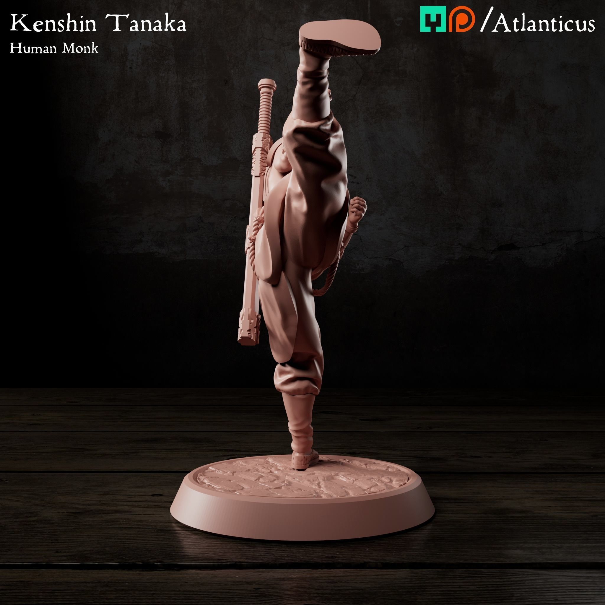 Male Human Monk - Kenshin Tanaka - Unarmed Kicking 3D print model_2