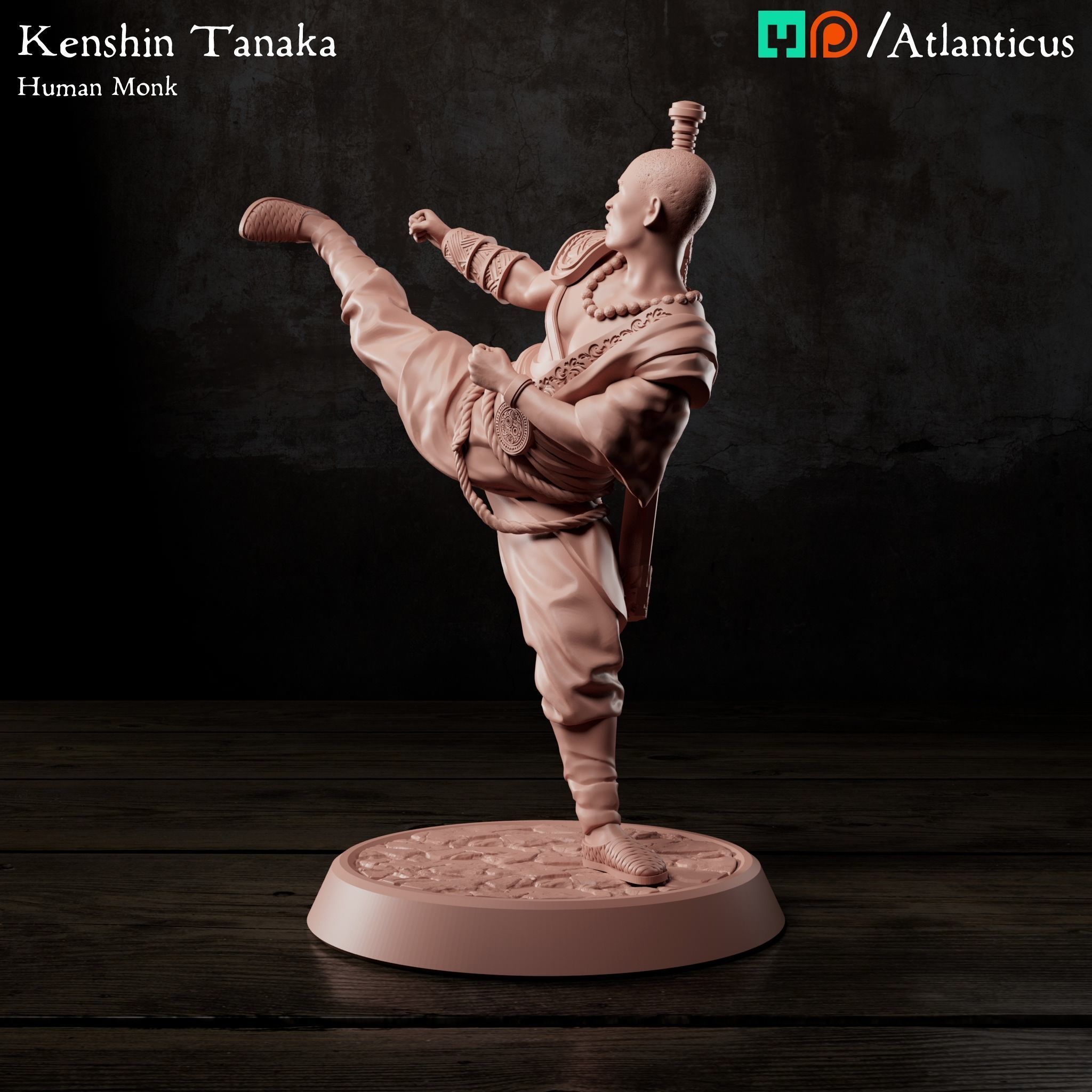 Male Human Monk - Kenshin Tanaka - Unarmed Kicking 3D print model_7