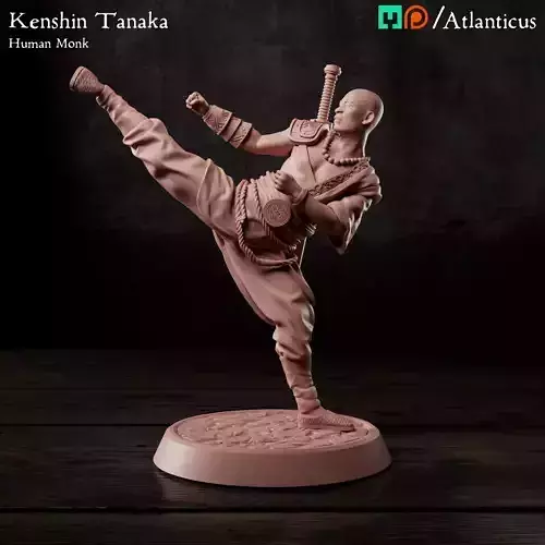 Male Human Monk - Kenshin Tanaka - Unarmed Kicking 3D print model