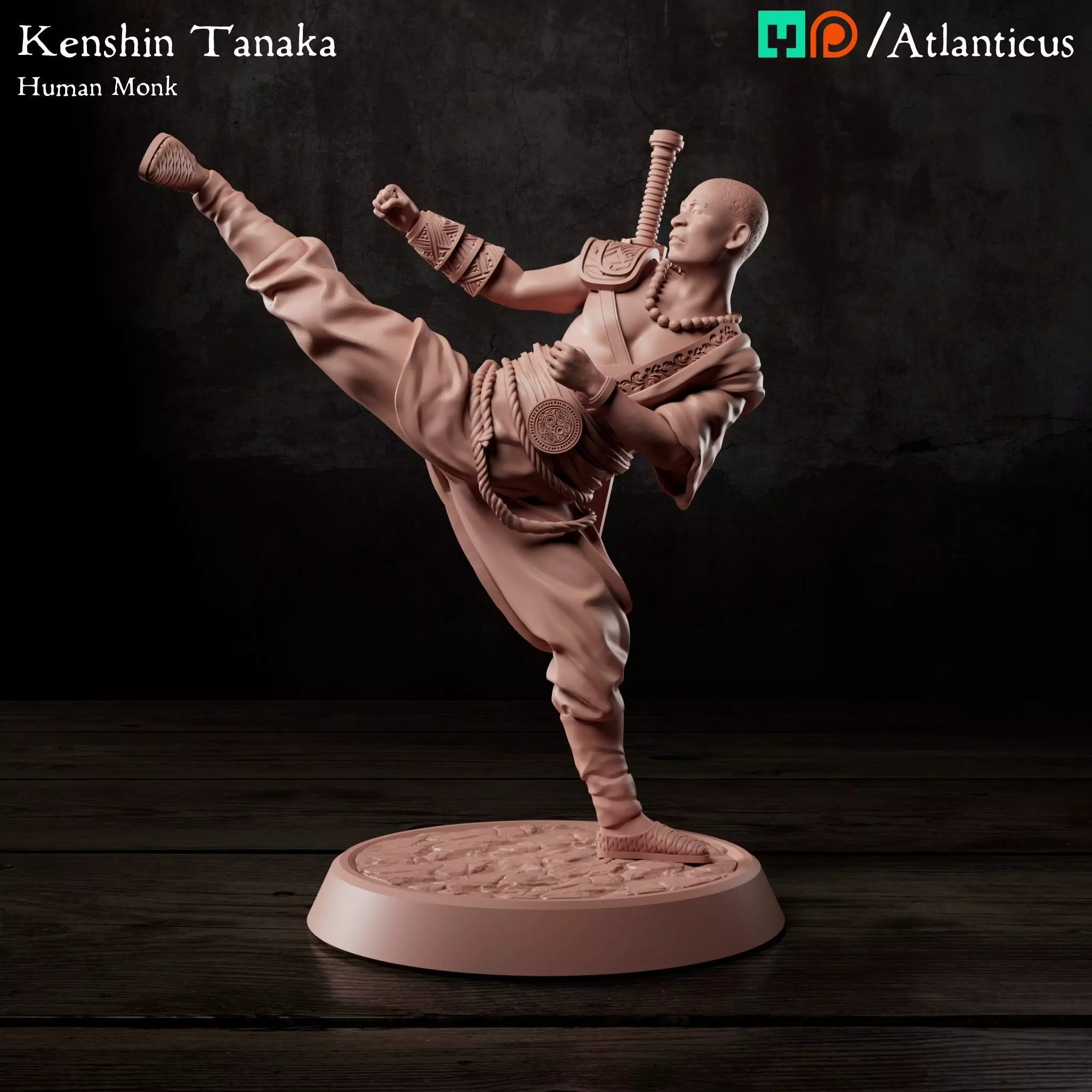 Male Human Monk - Kenshin Tanaka - Unarmed Kicking 3D print model_0