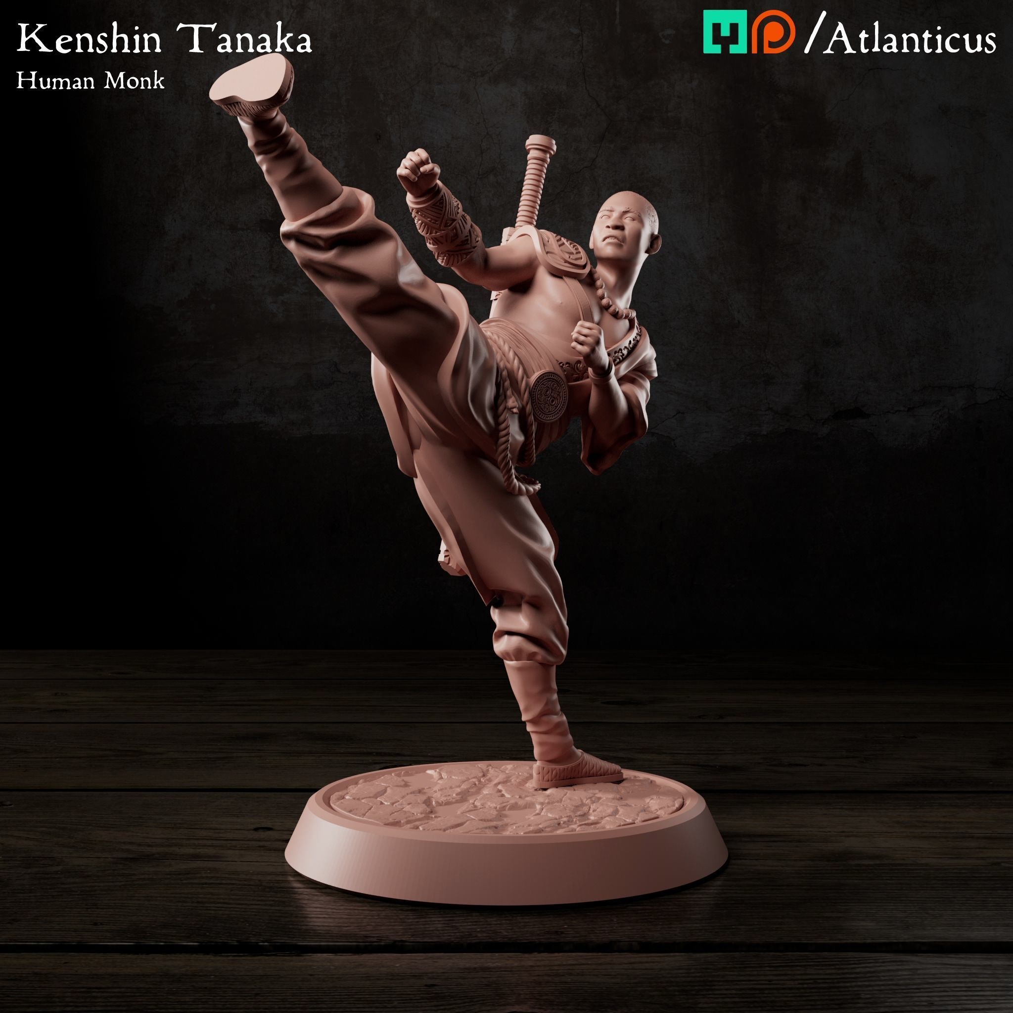 Male Human Monk - Kenshin Tanaka - Unarmed Kicking 3D print model_1