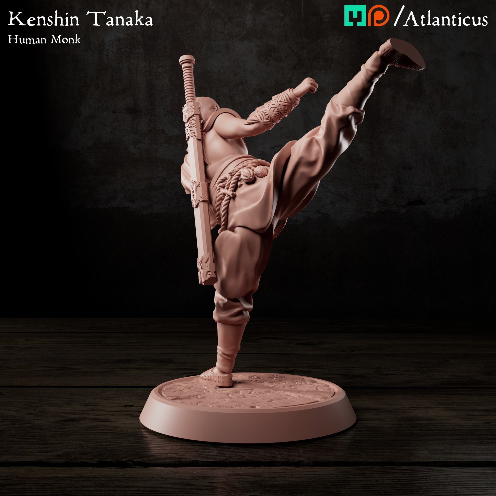 Male Human Monk - Kenshin Tanaka - Unarmed Kicking 3D print model_3