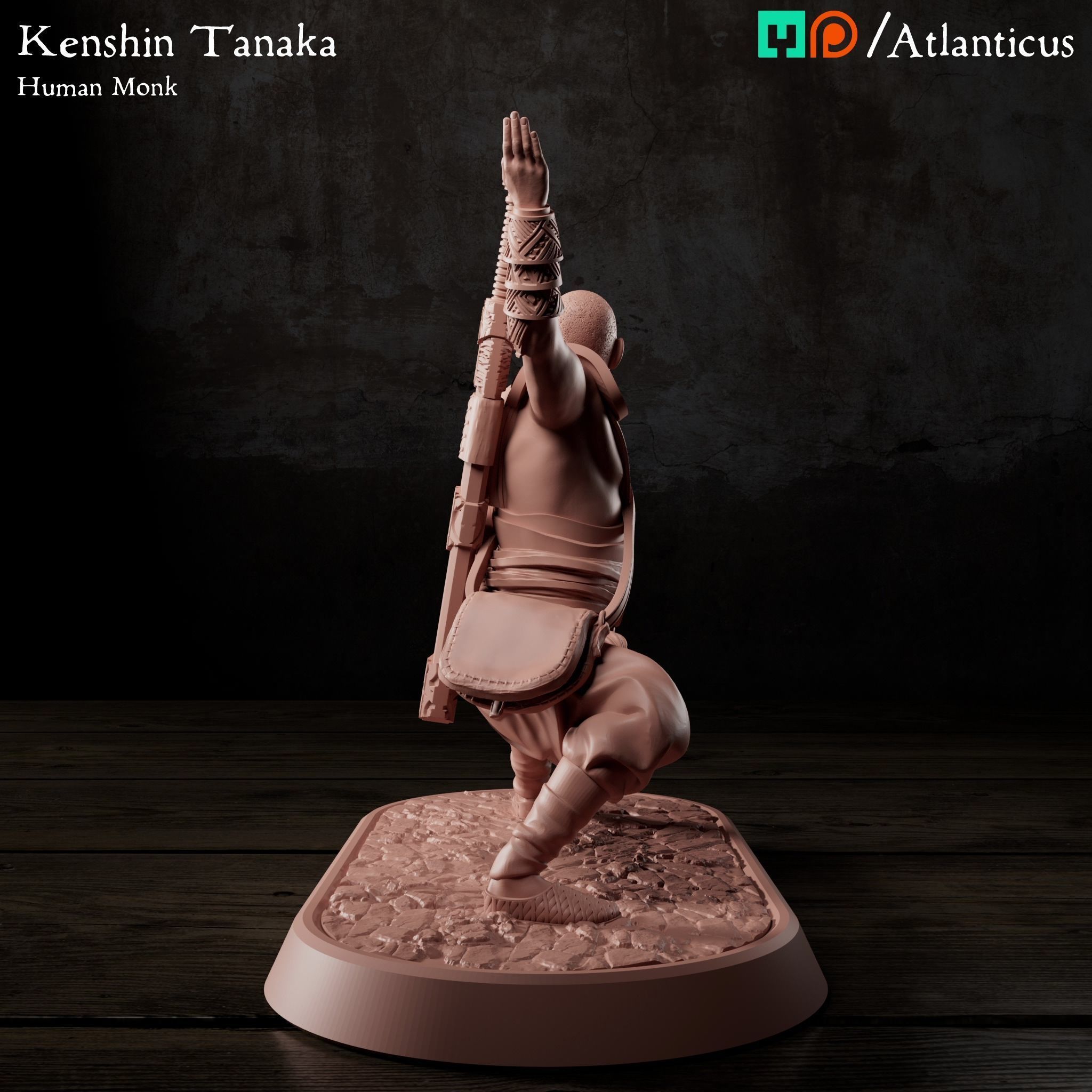 Male Human Monk - Kenshin Tanaka - Unarmed Backstance 3D print model_2